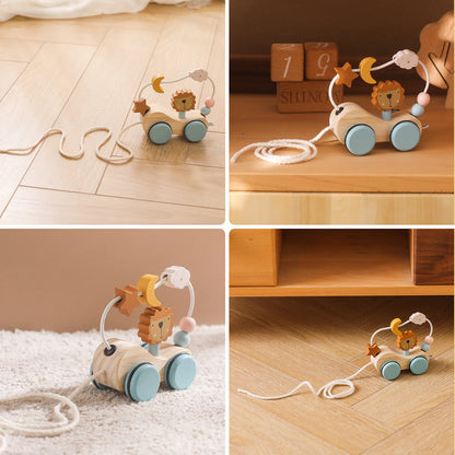 Wooden Montessori Puzzle Toy