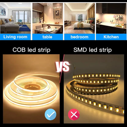 5V Low Voltage 12v COB Strip Lights