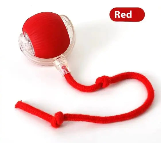 Speedy Tail Pet Toy Ball