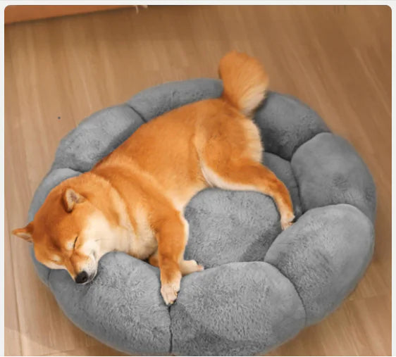 Calming Indoor Pet Beds