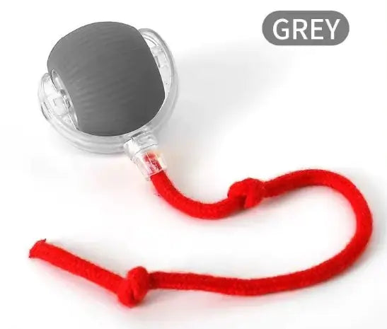 Speedy Tail Pet Toy Ball