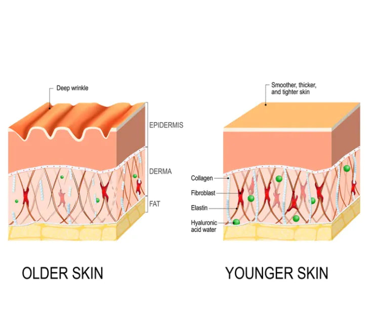 Anti-aging Serum