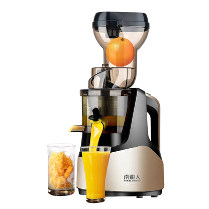 Electric Stirring Fruit And Vegetable Juicer