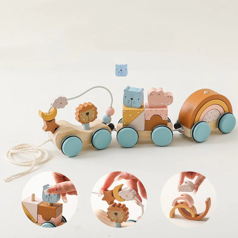 Wooden Montessori Puzzle Toy