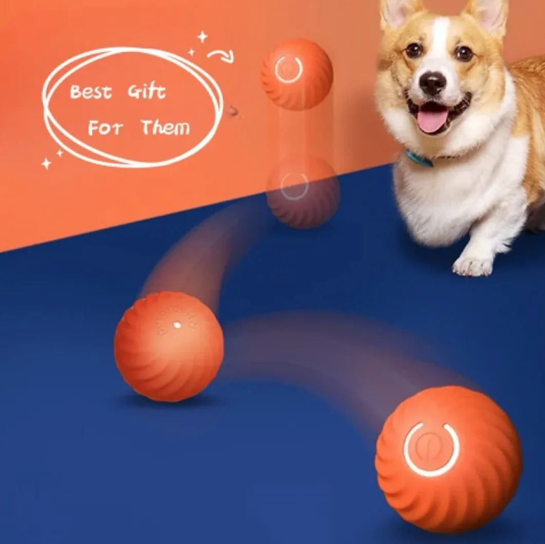 Durable Dog Chew Ball