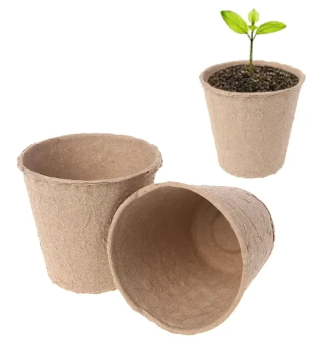 BioBloom Planting Cup