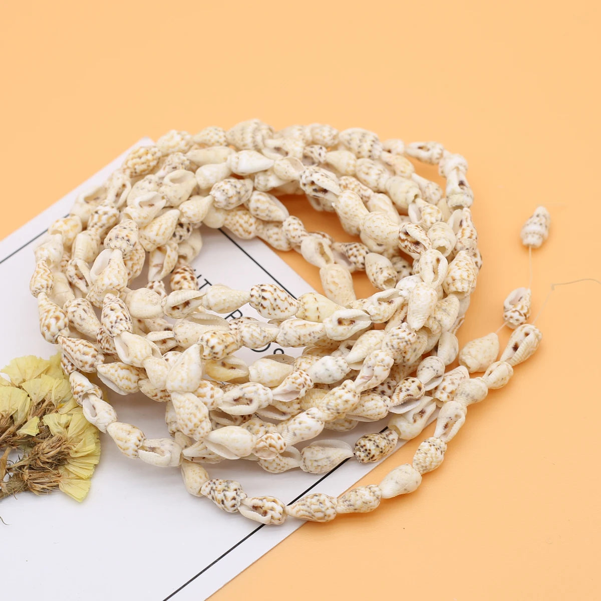 White Conch Loose Beads Natural Conch Shell Material Beads for DIY Ethnic Style Necklace Bracelet Earrings Jewelry Accessories