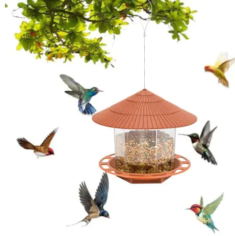 Automatic Bird Feeder