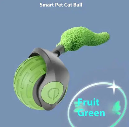 Speedy Tail Pet Toy Ball