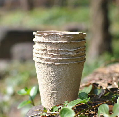 BioBloom Planting Cup