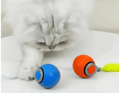 Speedy Tail Pet Toy Ball