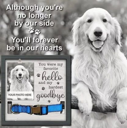 Creative Wooden Pet Commemorative Plaque - Dog Collar &amp; Photo Frame