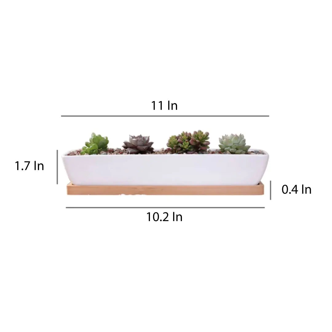 Succulent Planter-Long