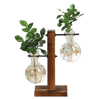 Terrarium Hydroponic Plant Vases