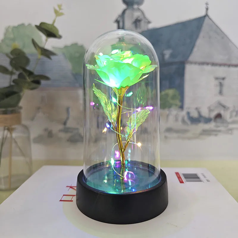 Glass Cover Small Night Lamp