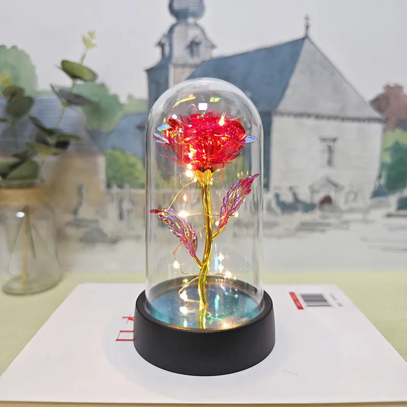 Glass Cover Small Night Lamp