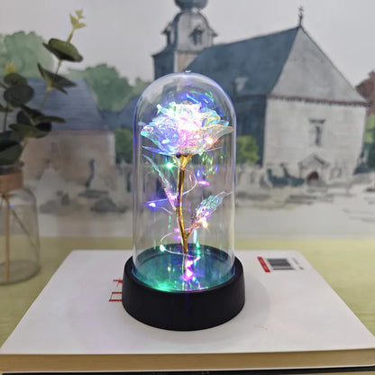 Glass Cover Small Night Lamp