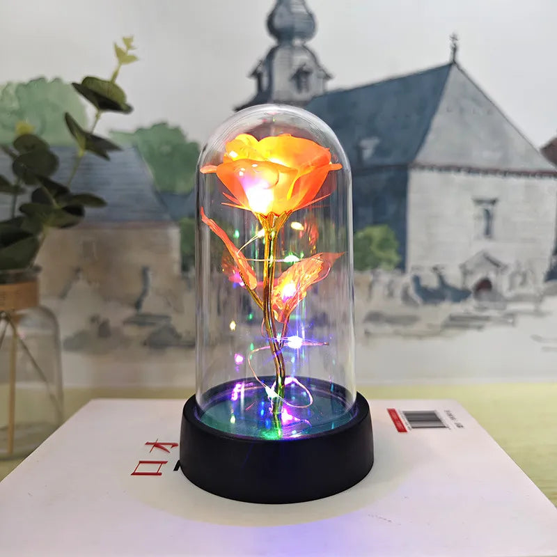 Glass Cover Small Night Lamp